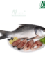 Fish 12