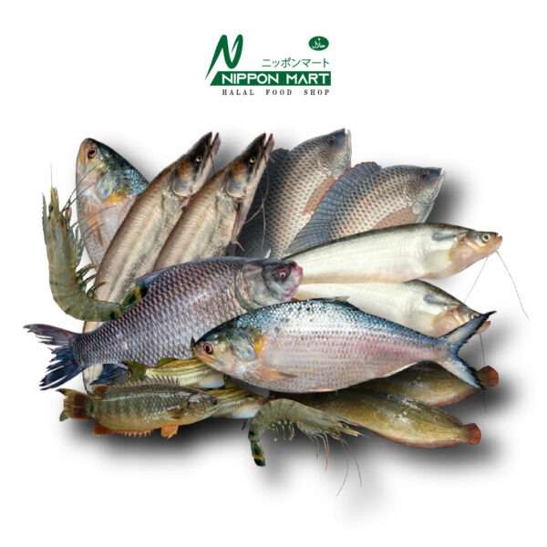 Fish