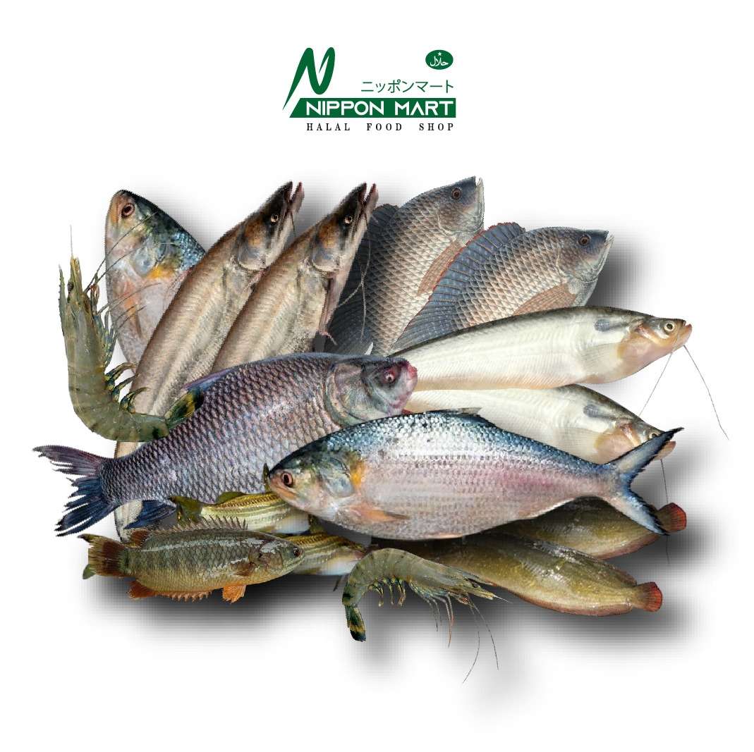 Fish